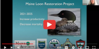 Loon Program Overview Video