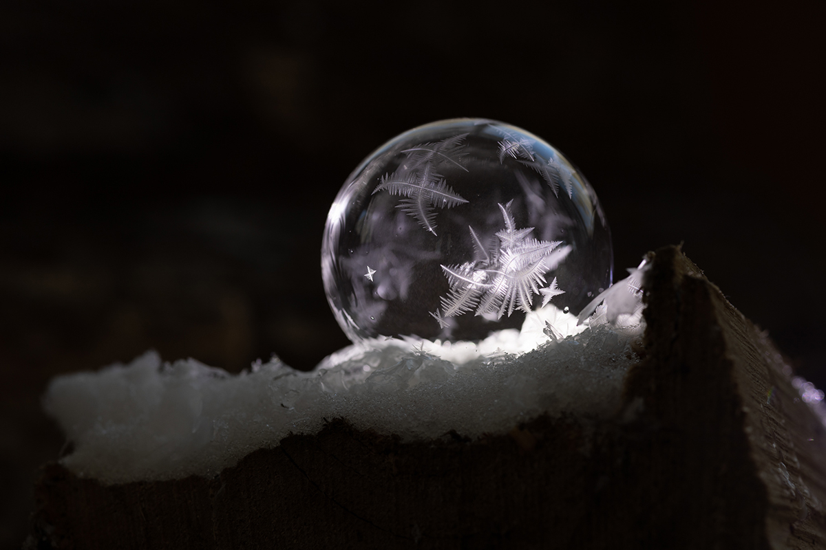 PhotoReflection-Winter-2026-3