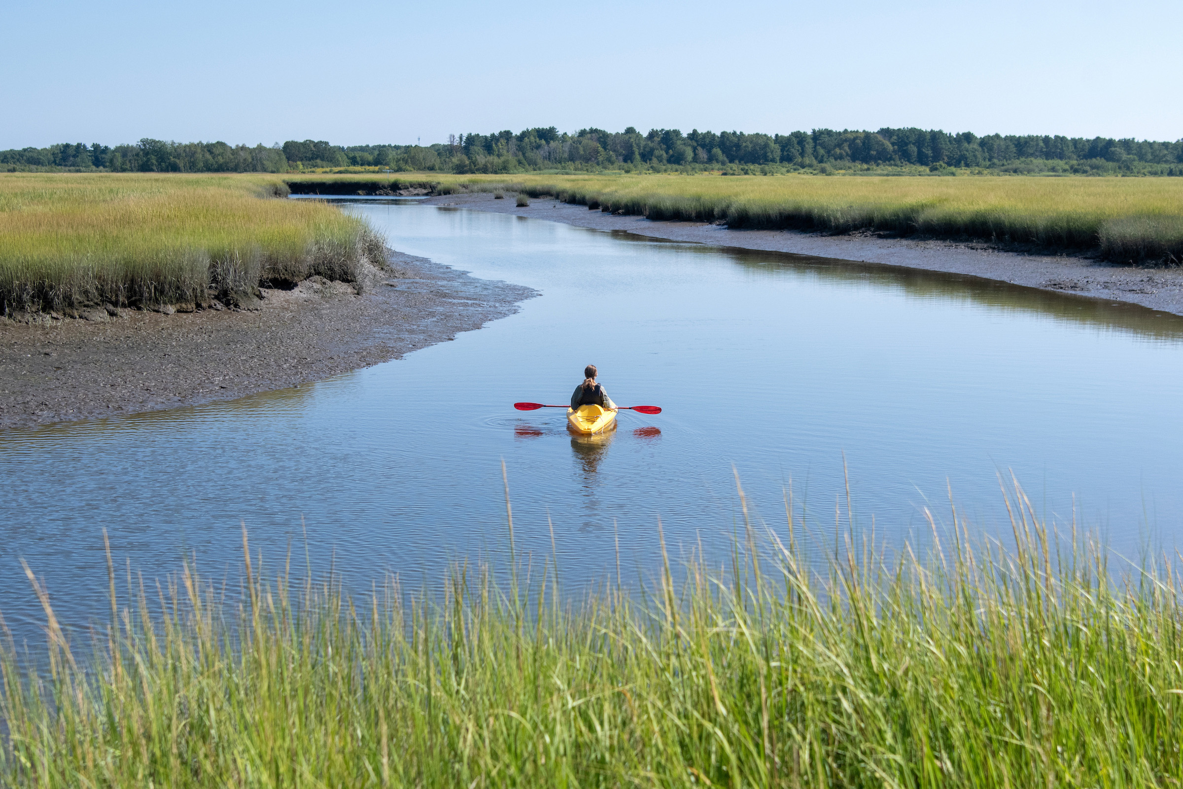 Scarborough Marsh Audubon Center