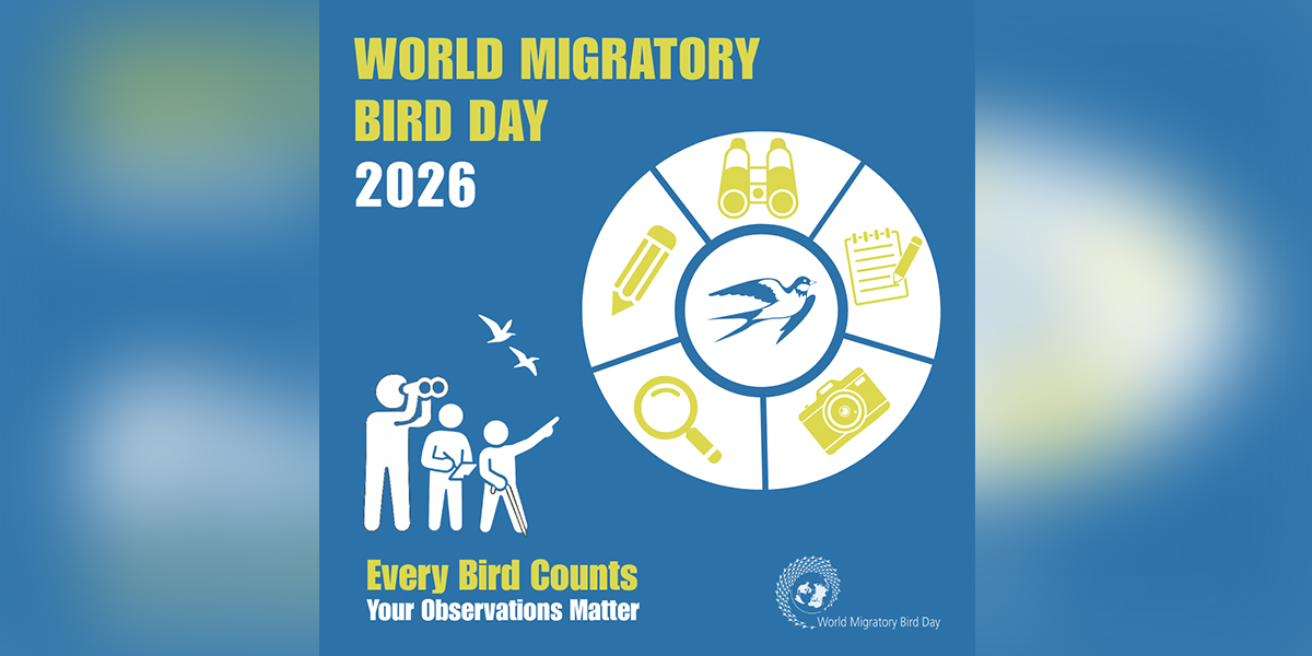 World Migratory Bird Day 2026