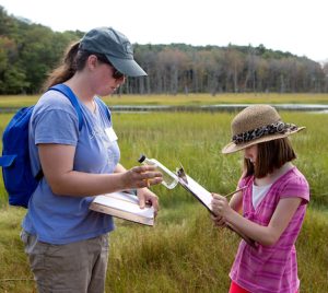 Scarborough Marsh