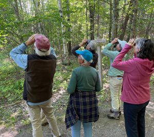 Birding at Fields Pond Audubon Center