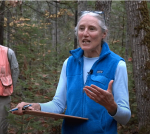 Forestry for Maine Birds assessment