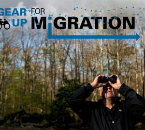 Gear Up for Migration Event
