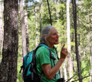 Sally Stockwell Forestry for Maine Birds program