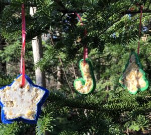 Wildlife friendly ornaments
