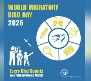 World Migratory Bird Day 2026