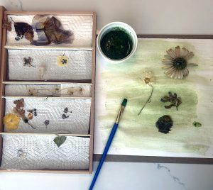 Anthotype Workshop