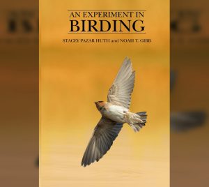 An Experiment in Birding
